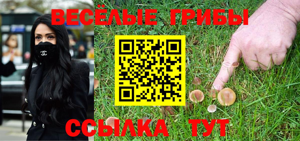 Псилоцибиновые грибы Psilocybe  Вход с VPN  Чита  Псилоцибиновые грибы Cubensis 